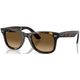 Wayfarer Ease RB4340 C50 710M2-